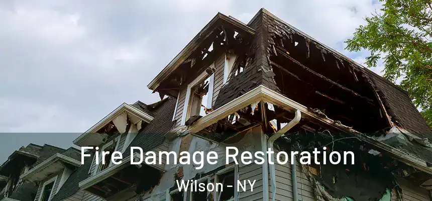  Fire Damage Restoration Wilson - NY
