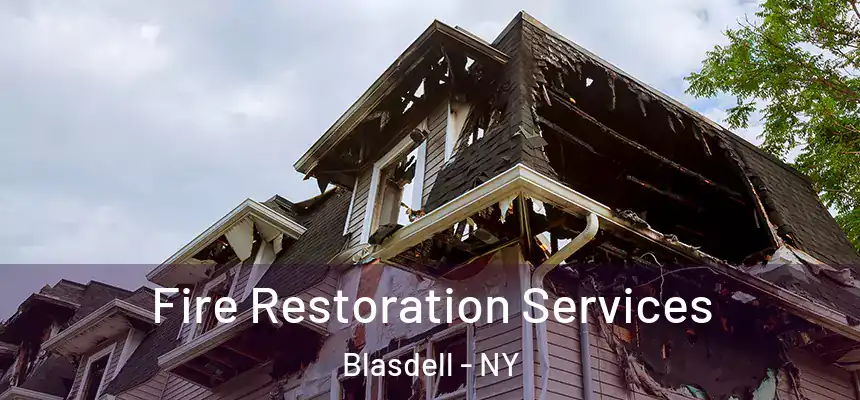  Fire Restoration Services Blasdell - NY