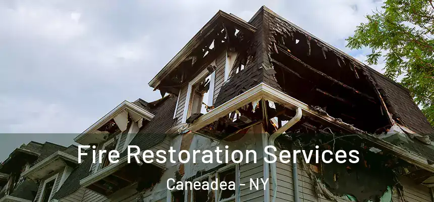  Fire Restoration Services Caneadea - NY