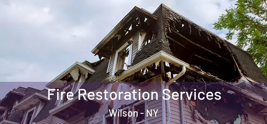  Fire Restoration Services Wilson - NY