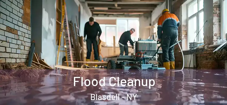 Flood Cleanup Blasdell - NY