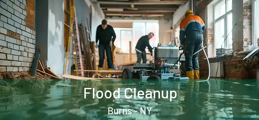  Flood Cleanup Burns - NY