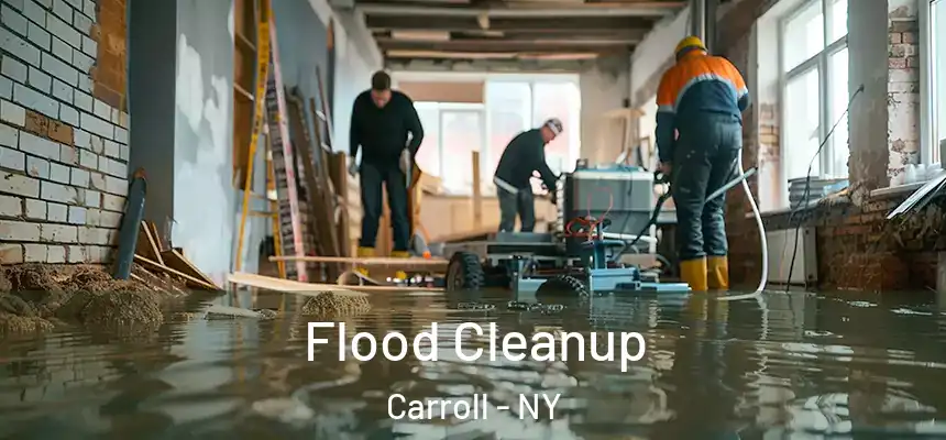  Flood Cleanup Carroll - NY