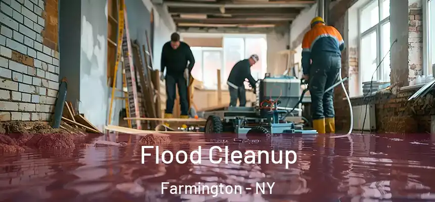  Flood Cleanup Farmington - NY