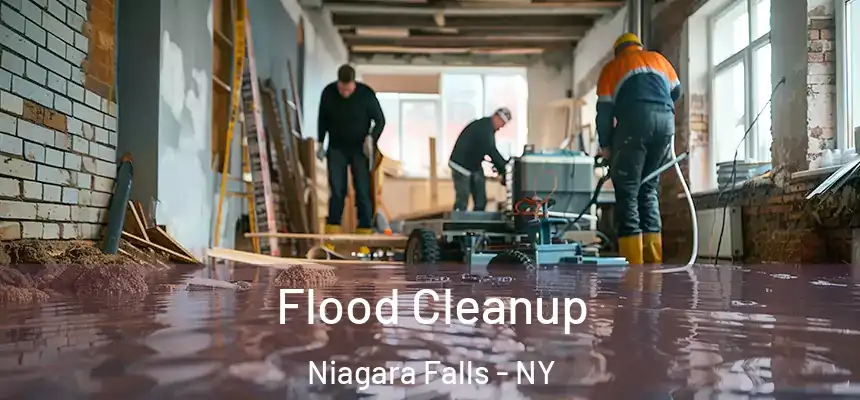 Flood Cleanup Niagara Falls - NY