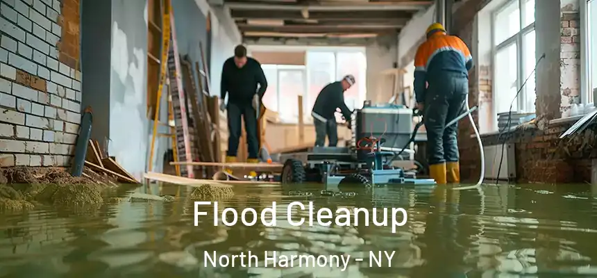  Flood Cleanup North Harmony - NY