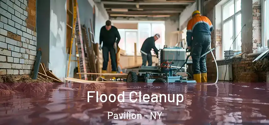  Flood Cleanup Pavilion - NY