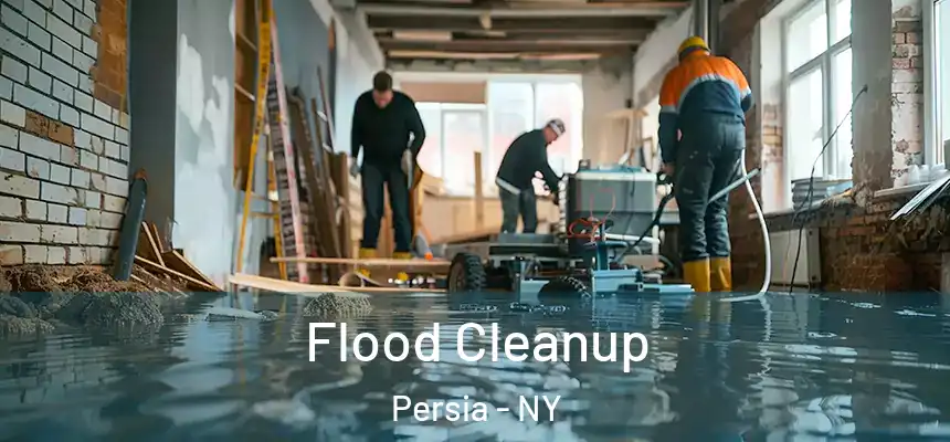 Flood Cleanup Persia - NY
