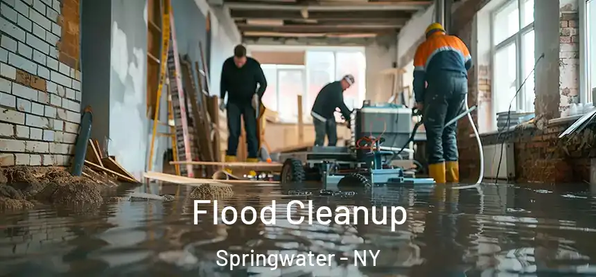 Flood Cleanup Springwater - NY