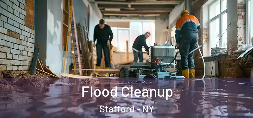Flood Cleanup Stafford - NY
