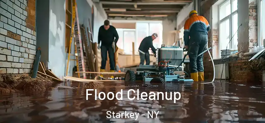  Flood Cleanup Starkey - NY