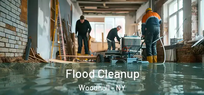 Flood Cleanup Woodhull - NY