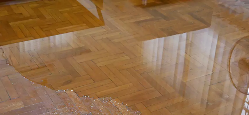 Laminate Wood Floor Water Damage Repair in Centerville