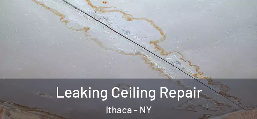  Leaking Ceiling Repair Ithaca - NY