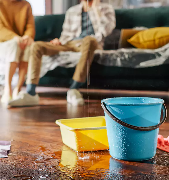 Reliable Water Mitigation Company in Boston, NY