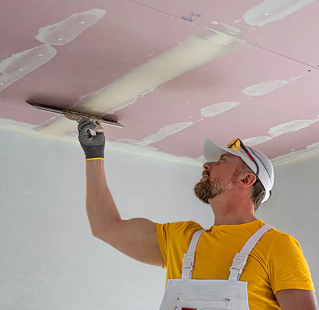  Why Choose Continental Restoration Pros for Leaking Ceiling Repair in Colden, NY?