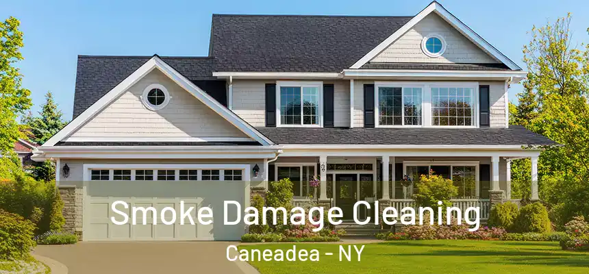  Smoke Damage Cleaning Caneadea - NY