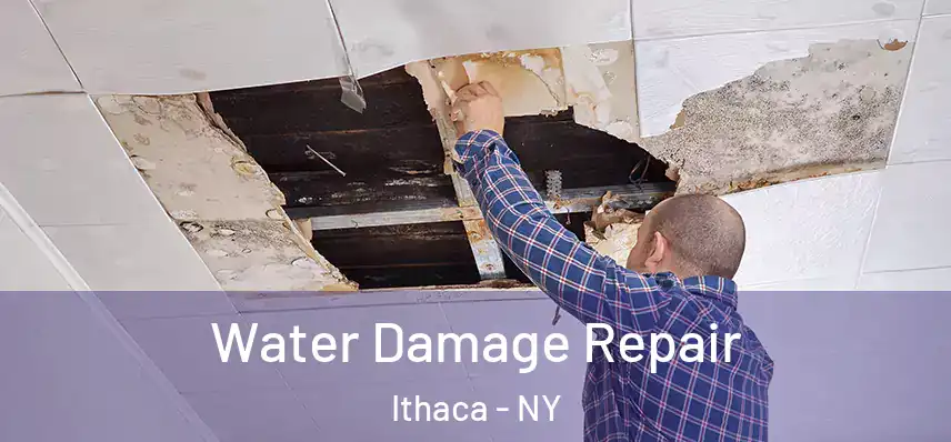  Water Damage Repair Ithaca - NY