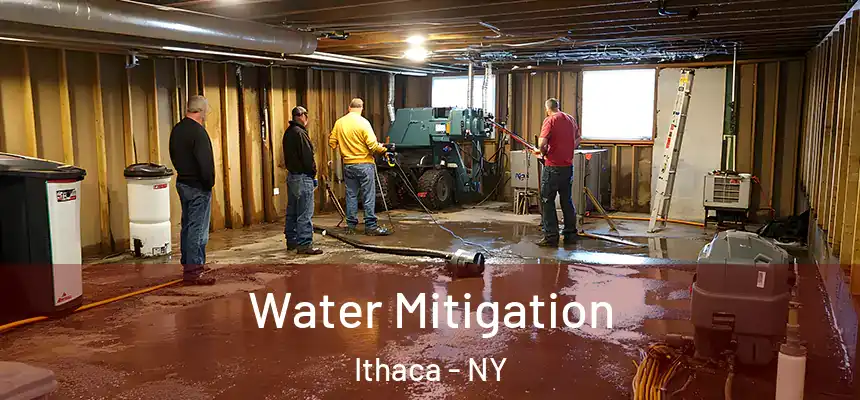  Water Mitigation Ithaca - NY