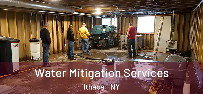  Water Mitigation Services Ithaca - NY