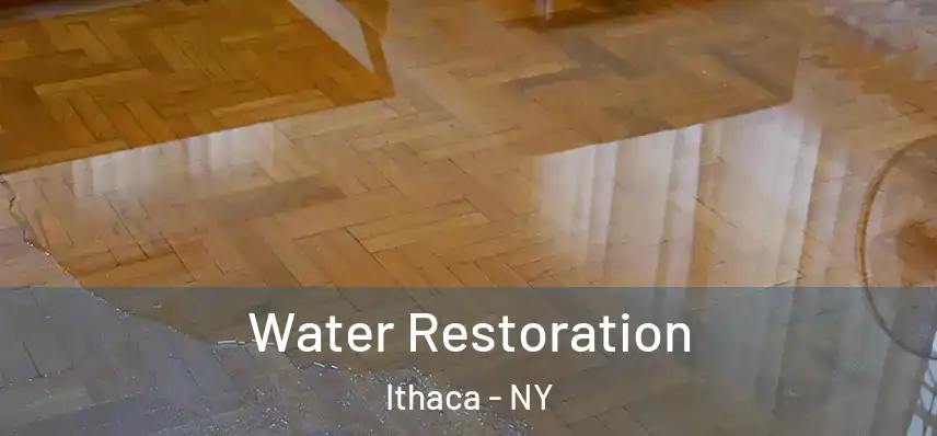  Water Restoration Ithaca - NY